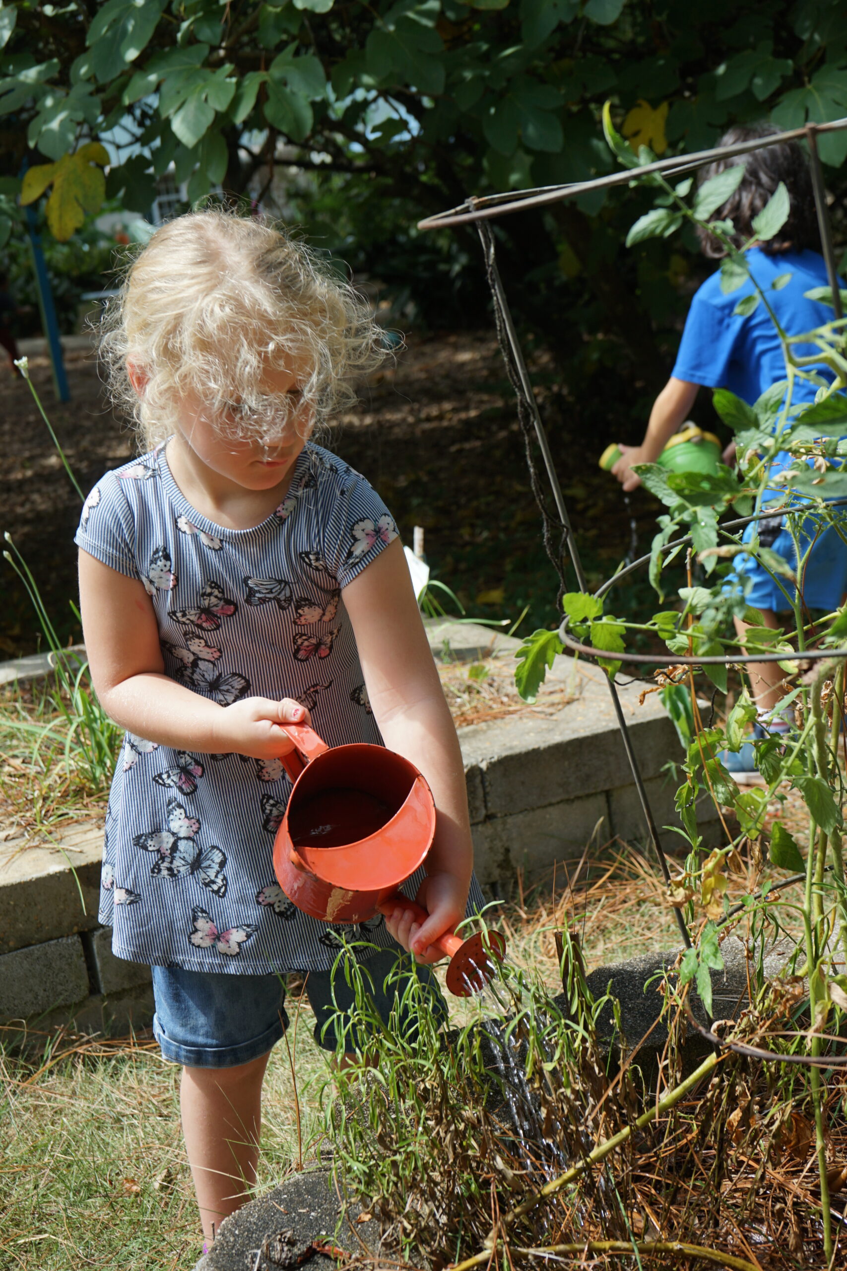 Girl watering the plants - Corner Stone Learning Community